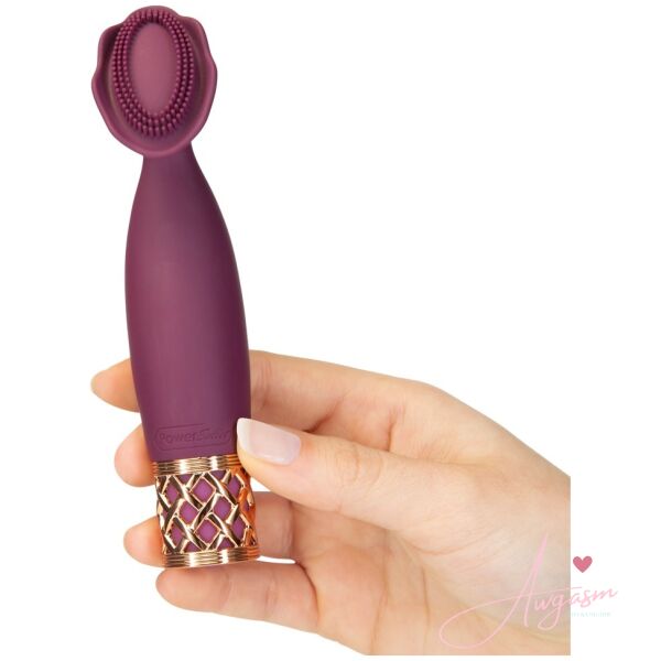 Pillow Talk Secrets Passion Mini Massager - Image 2