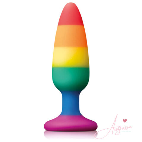 Pride Pleasure Plug Rainbow Medium
