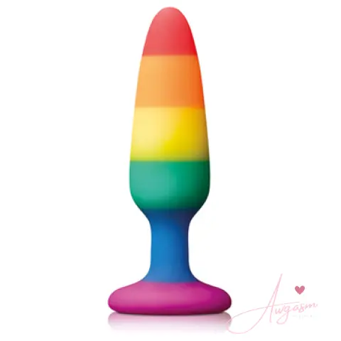 Pride Pleasure Plug Rainbow Small