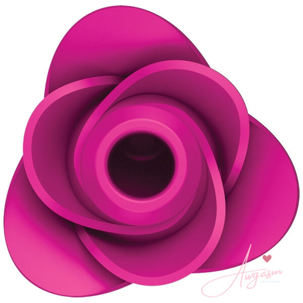 Satisfyer Pro 2 Modern Blossom - Image 3