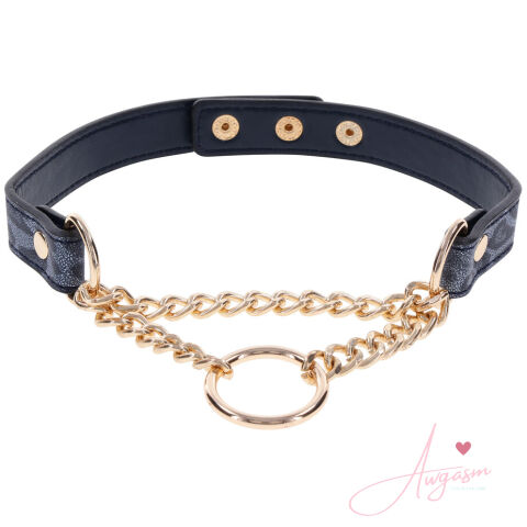 SportSheets Cougar Day Collar