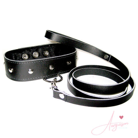 SportSheets Leather Leash And Collar