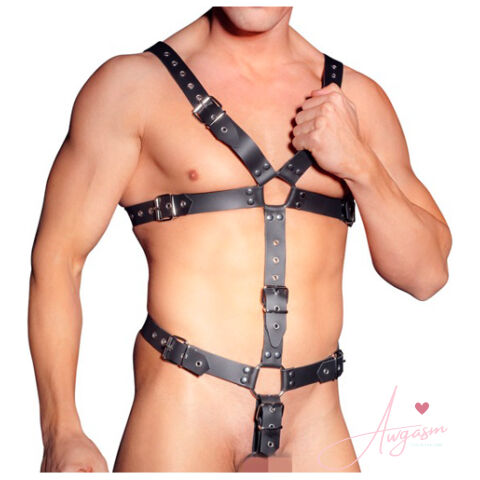 Zado Mens Leather Adjustable Harness With Cock Ring